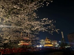 株式会社ステキクリエーションの正社員 企画・宣伝・広報 事務・管理 医療・福祉 飲食・宿泊サービス 医療・福祉の求人情報イメージ2