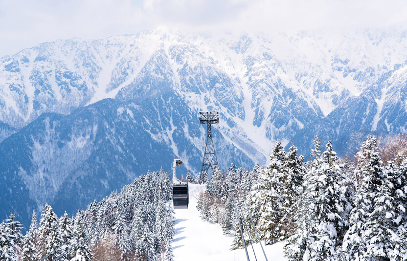 自然豊かな環境での暮らし